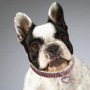 Gold dog Chain - Crystal Heart Pets Collar