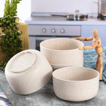 Load image into Gallery viewer, Wheat Straw Fiber Lightweight Bowl Set (3 PCs)
