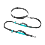 Load image into Gallery viewer, Handsfree Elastic Bungee Dog Leash
