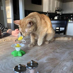 Load image into Gallery viewer, Interactive Bird Toy For Cats
