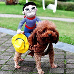 Load image into Gallery viewer, Funny Pet Costumes
