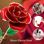 Load image into Gallery viewer, Bloom Eternal 24K Gold Rose
