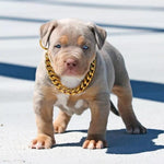 Load image into Gallery viewer, Thick Gold Chain Pets Safety Collar
