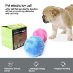 Load image into Gallery viewer, Hirundo® Magic Ball for Dogs
