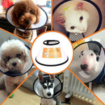 Load image into Gallery viewer, E-Collar for pets (8 sizes optional)
