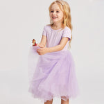 Load image into Gallery viewer, Kids Dress Tulle Skirt
