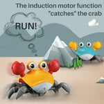 Load image into Gallery viewer, Crawling Crab Toy for Kids
