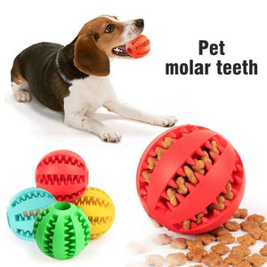 Dog Chewing Rubber Ball