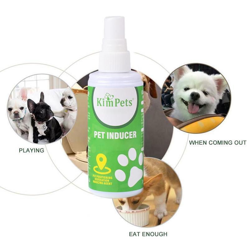 Pet Toilet Training Aid