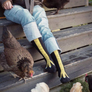 Chicken Legs Socks