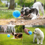 Load image into Gallery viewer, Hirundo® Magic Ball for Dogs
