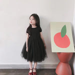 Load image into Gallery viewer, Kids Dress Tulle Skirt
