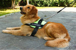 Load image into Gallery viewer, Reflective all-in-one No Pull Dog Harness
