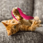 Load image into Gallery viewer, Wiggly Cat Toys with Bells
