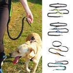 Load image into Gallery viewer, Handsfree Elastic Bungee Dog Leash
