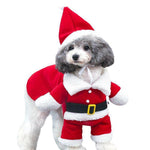 Load image into Gallery viewer, Funny Pet Costumes
