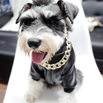 Load image into Gallery viewer, Thick Gold Chain Pets Safety Collar
