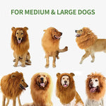 Load image into Gallery viewer, Lion Mane Wig for Dogs
