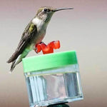 Load image into Gallery viewer, Original Hummingbird Wrist Feeder
