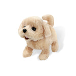 Load image into Gallery viewer, Realistic Teddy Dog Lucky
