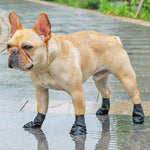 Load image into Gallery viewer, Waterproof Dog Shoes for Paw Protection
