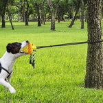 Load image into Gallery viewer, Outdoor Pet Rope Ball
