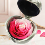 Load image into Gallery viewer, Preserved Flower Rose
