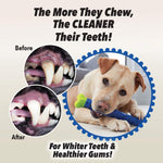 Load image into Gallery viewer, Dog Chewbrush Toothbrush | Teeth Cleaning Toy
