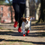 Load image into Gallery viewer, Waterproof Dog Shoes for Paw Protection
