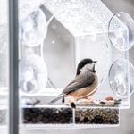 Load image into Gallery viewer, Window Bird House Feeder
