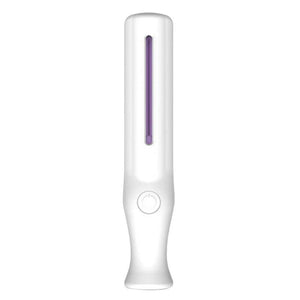 Handheld LED Sterilize UV Light