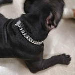 Load image into Gallery viewer, Zirconia Lock Buckle Dogs Chain Necklace
