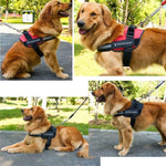 Load image into Gallery viewer, Reflective all-in-one No Pull Dog Harness
