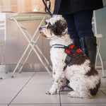 Load image into Gallery viewer, Large Dog Chest Harness
