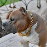 Load image into Gallery viewer, Titanium Steel Pet Dog Chain
