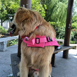 Load image into Gallery viewer, Dog Swimming Safe Jacket
