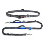 Load image into Gallery viewer, Handsfree Elastic Bungee Dog Leash
