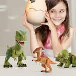 Load image into Gallery viewer, Hatching Egg Dinosaur Toy
