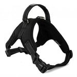 Load image into Gallery viewer, Hirundo® No-Pull Dog Harness, Adjustable Harness for Dogs
