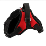 Load image into Gallery viewer, Hirundo® No-Pull Dog Harness, Adjustable Harness for Dogs
